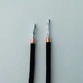 xx